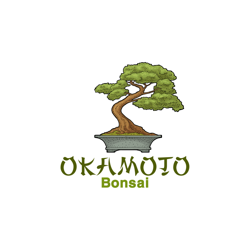 okamoto bonsai